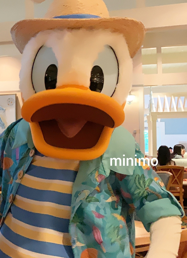 Minimo Channel Wdw 13日目 ケープメイカフェとエプコット